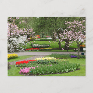 Keukenhof Gardens, Netherlands Postcard