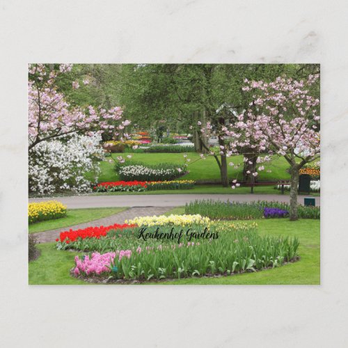 Keukenhof Gardens Netherlands Postcard