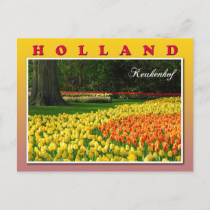 Keukenhof, Lisse, Netherlands Postcard