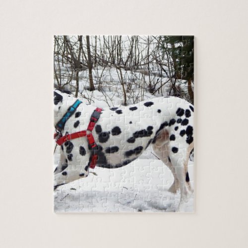 Kevin The Dalmatian Jigsaw Puzzle