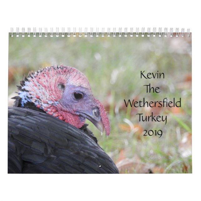 Kevin The Turkey - Old Wethersfield , CT Calendar (Cover)