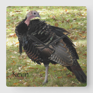 Kevin The Turkey - Old Wethersfield , CT Square Wall Clock