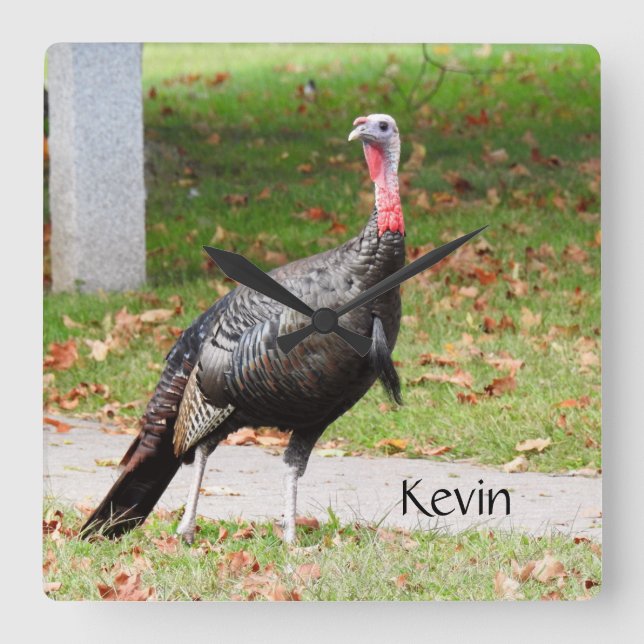 Kevin The Turkey - Old Wethersfield , CT Square Wall Clock (Front)