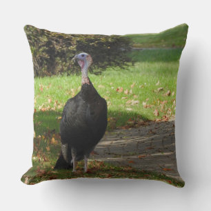 Kevin The Turkey - Old Wethersfield , CT Throw Pillow