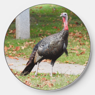 Kevin The Turkey - Old Wethersfield , CT Wireless Charger