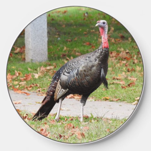 Kevin The Turkey _ Old Wethersfield  CT Wireless Charger