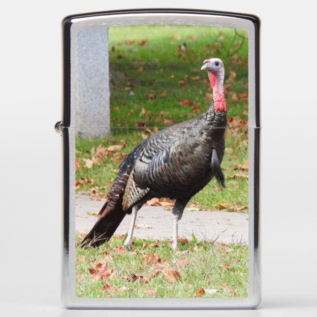 Kevin The Turkey - Old Wethersfield , CT Zippo Lighter (Front)