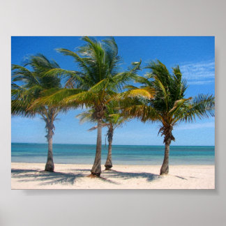 Key Biscayne palms Poster