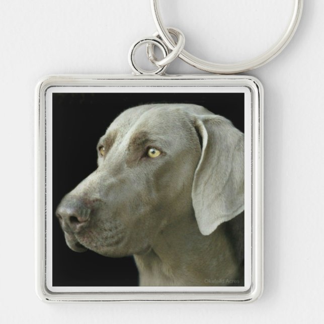 Key Chain - Head Study Weimaraner (Front)