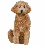 Key chain Photo Sculpture of golden doodle<br><div class="desc">Key chain Photo Sculpture of golden doodle   Created by bearsandmore</div>