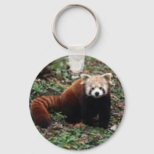 Key chain - red panda 2