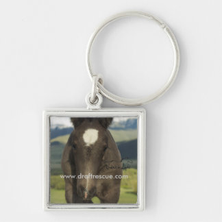 Key chain, UIL Keychain
