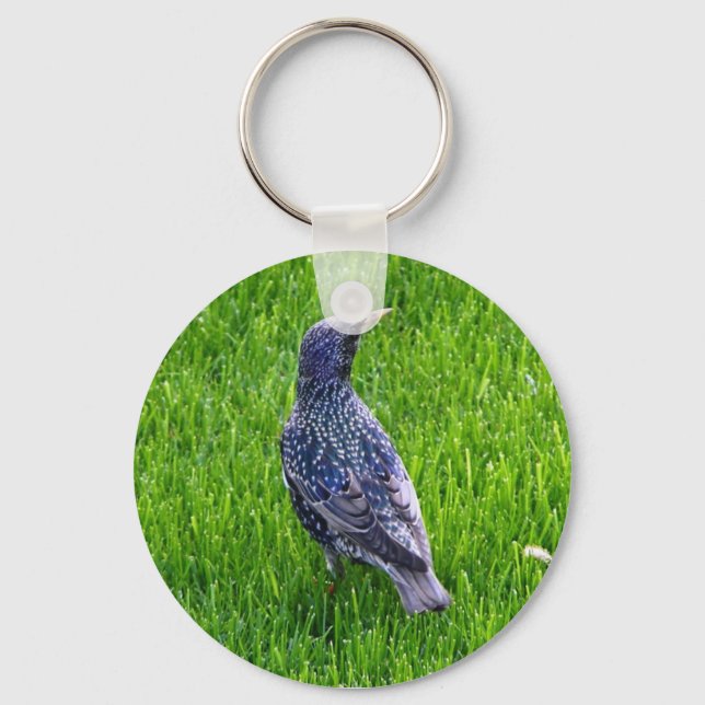 Key chain with bird (Front)