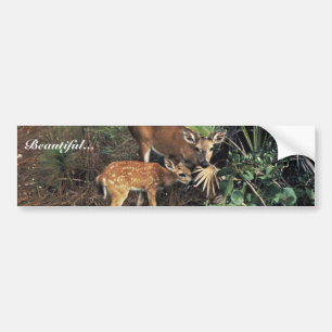 Key Deer Bumper Sticker
