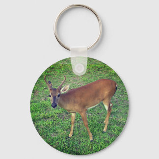 Key Deer Keychain