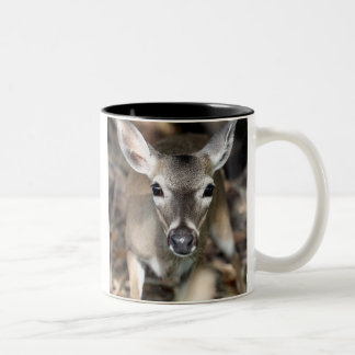 Key Deer Mug