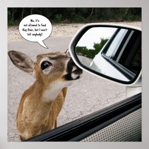 Key Deer speaking Poster