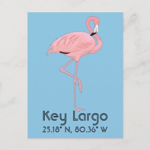 Key Largo FL Keys Flamingo Latitude Longitude Postcard