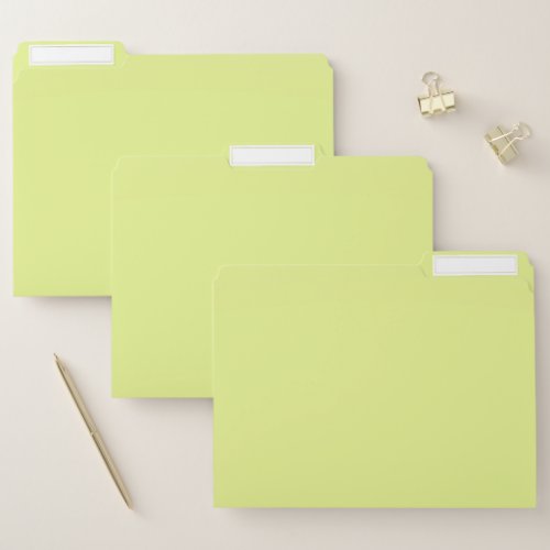 Key Lime Solid Color File Folder