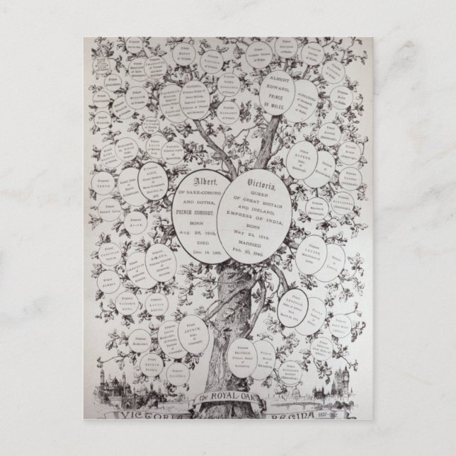 Key to Genealogical Tree Postcard (Front)