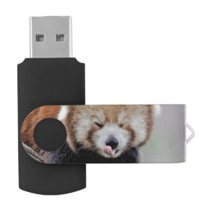 Key usb photo red panda. Panda roux. Flash Drive