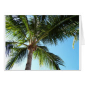 Key West (Front Horizontal)