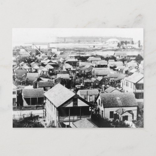 Key West 1895 Historic Photo Postcard