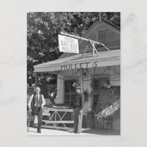 Key West Bait Shop 1930s Postcard