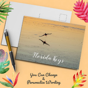 Key West Bird Flying Ocean Sunset Florida Keys Postcard