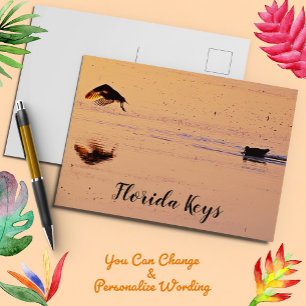 Key West Birds Flying Sunset Florida Keys Postcard