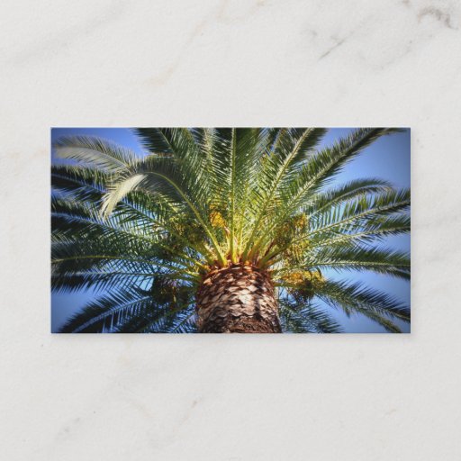 Customizable Key West Business Card