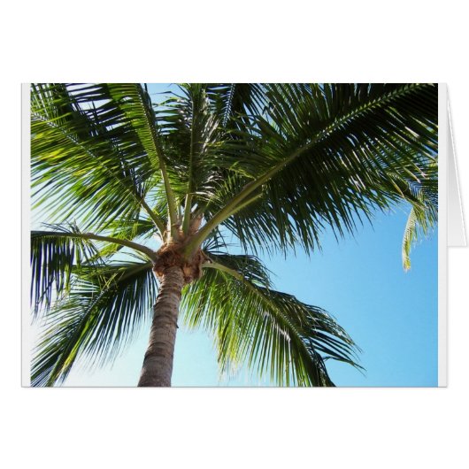 Key West Cards (Front Horizontal)