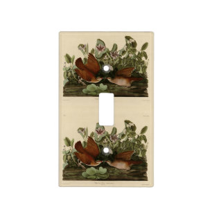 Key-west Dove, Quail-Dove Audubon Birds of America Light Switch Cover