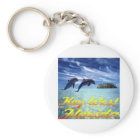 Key West Florida Dolphins