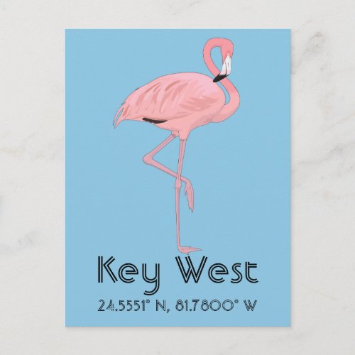 Key West Florida Pink Flamingo Latitude Longitude Postcard