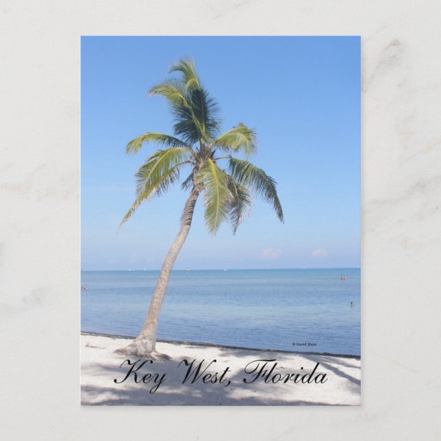 Key West, Florida Postcard (Front)
