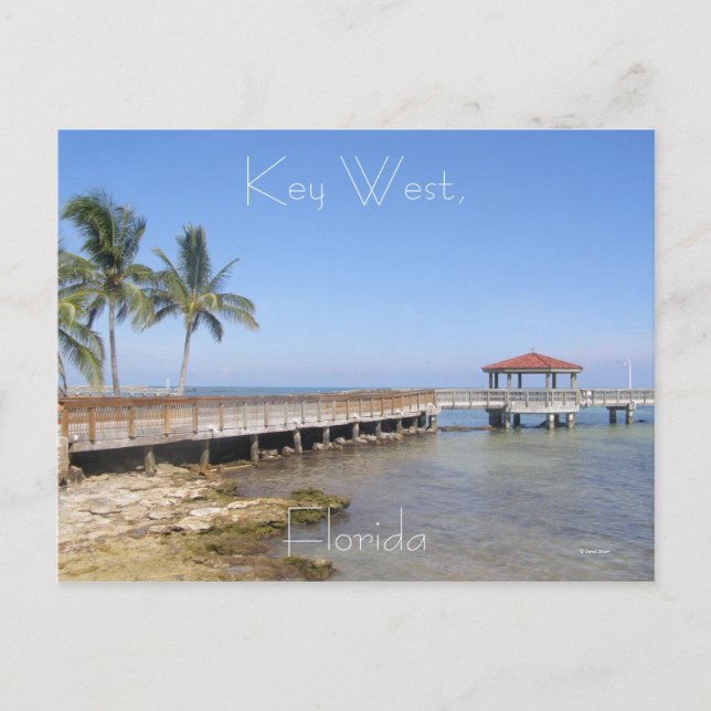 Key West, Florida Postcard (Front)