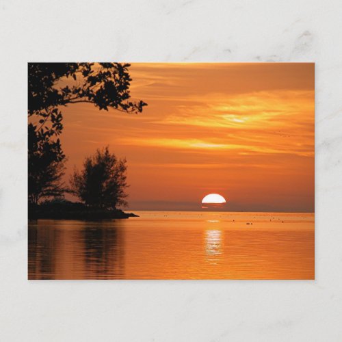 Key West Florida Sunset Postcard