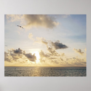 Key West Golden Sunset with Bird Flying Poster