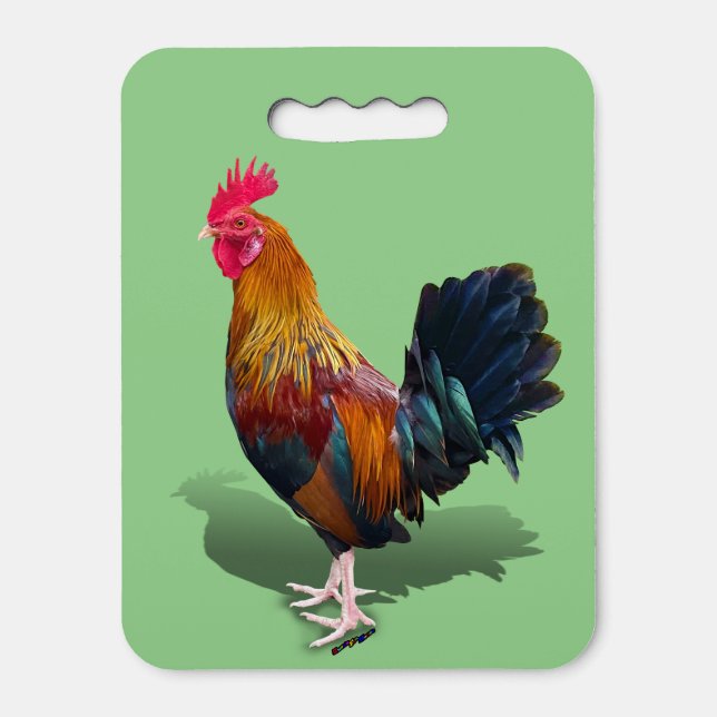 Key West - Gypsy Rooster Seat Cushion (Front Vertical)