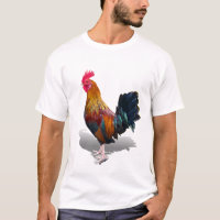Key West - Gypsy Rooster