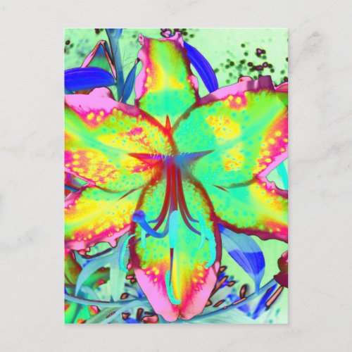 Key West Lily Postcard