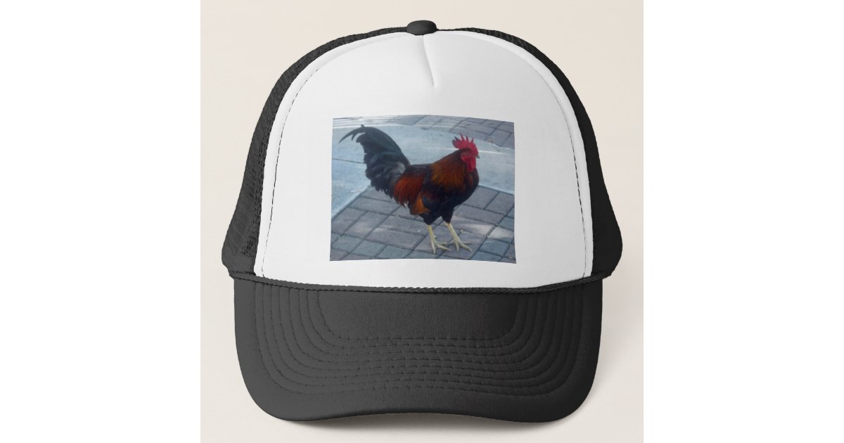 Key West Rooster Trucker Hat