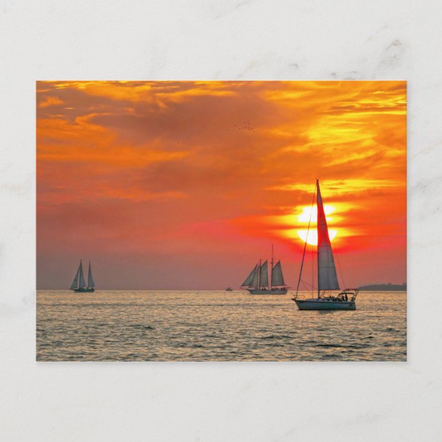 Key West Sailboats at Sunset Postcard (Front)