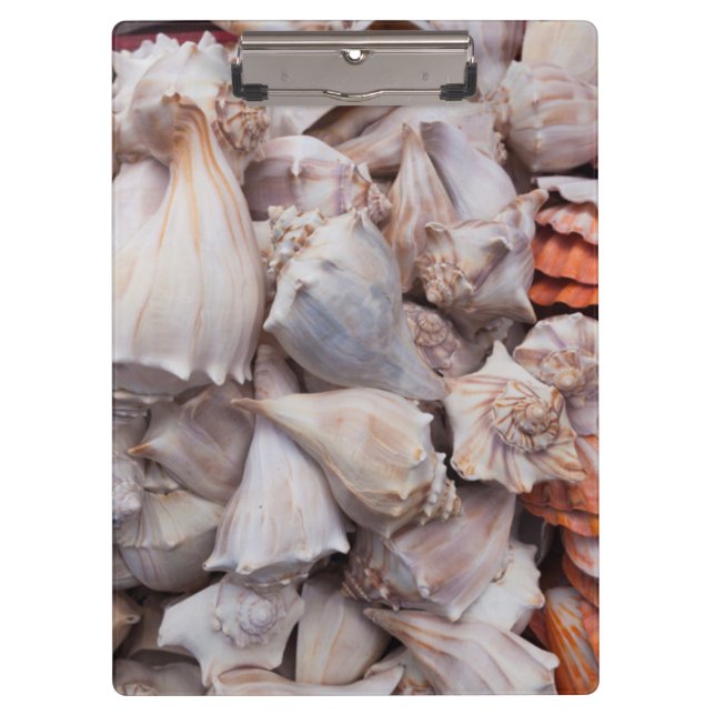 Key West, seashells Clipboard (Front)