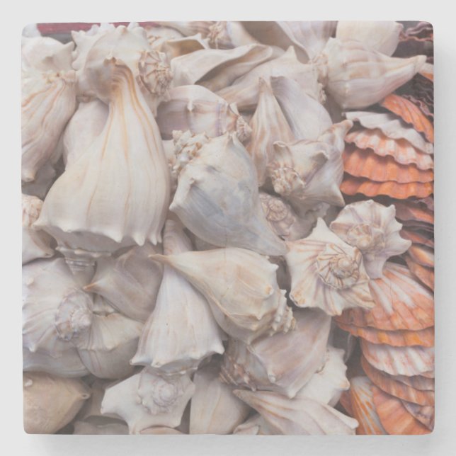 Key West, seashells Stone Coaster (Front)