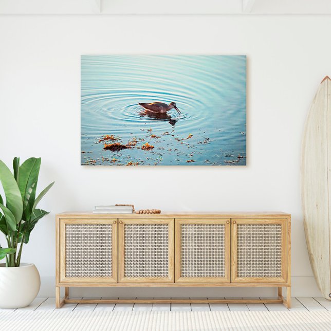 Key West Shorebird Ocean Scene Florida Keys Canvas Print (Creator Uploaded)