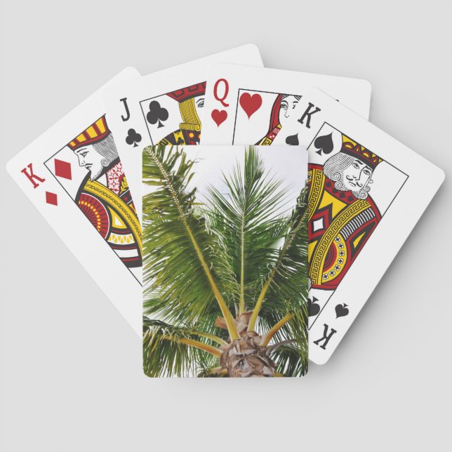 Key West,Tropical, Palm Tree Poker Cards (Back)