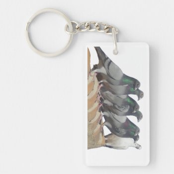 Key With Messenger Pigeons On The Roof Keychain by naturanoe at Zazzle