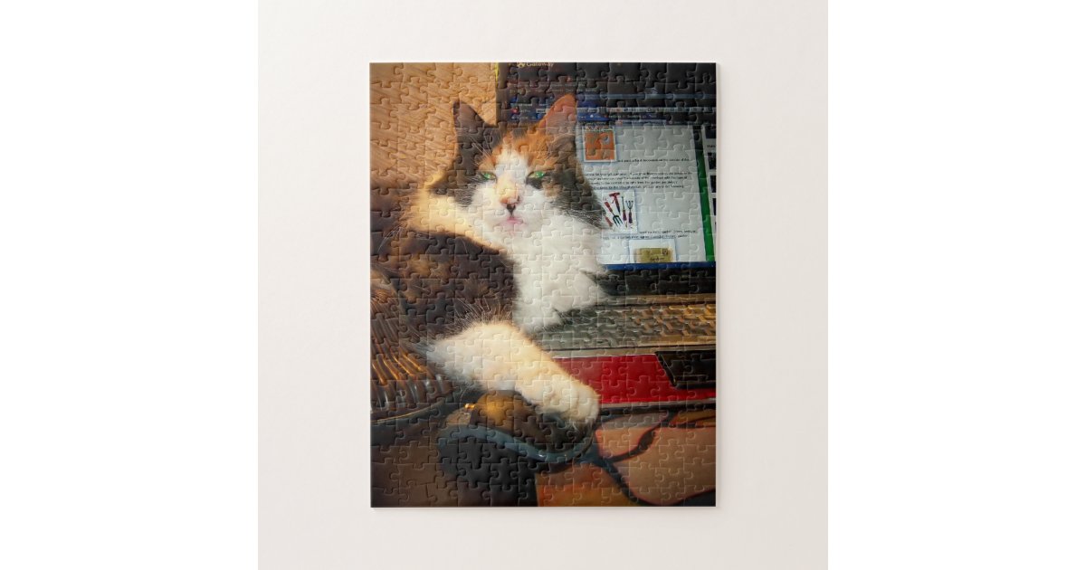douglas puzzle calico cat